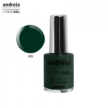 Hybrid Gel Andreia H65