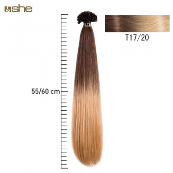 Extensões de Cabelo c/efeito Shatush 55x60cm Liso T17/20