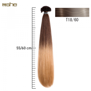 Extensões de Cabelo c/efeito Shatush 55x60cm Liso T18/60