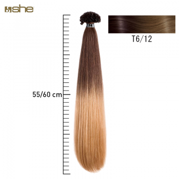 Extensões de Cabelo c/efeito Shatush 55x60cm Liso T6/12