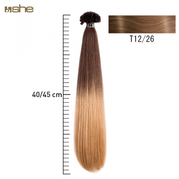 Extensões de Cabelo c/efeito Shatush 40x45cm Liso T12/26